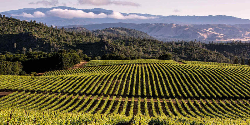California wine country