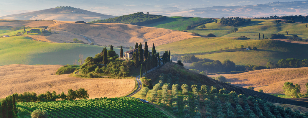 Discover Italian Wine Regions