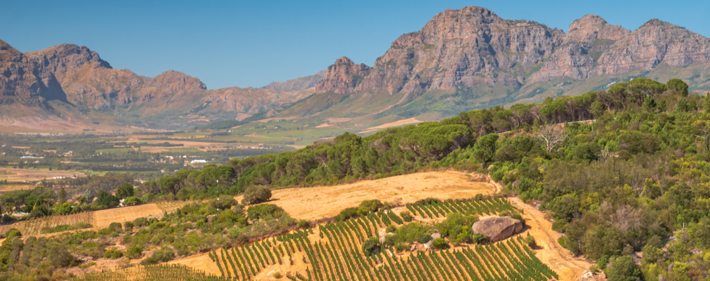 South African wine regions