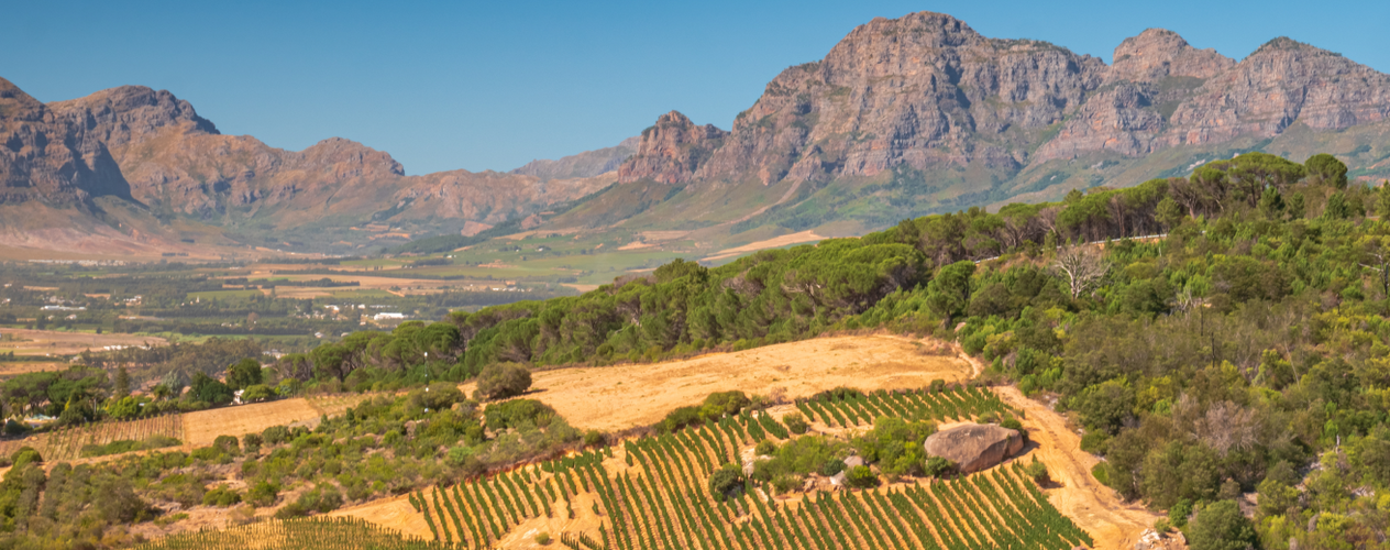 South African Wine Regions