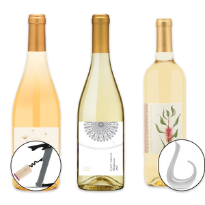 Adventure Awaits Assortment