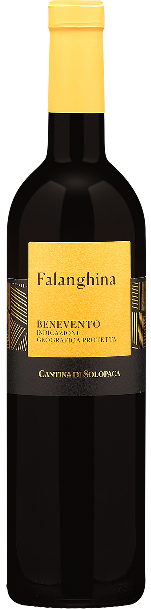 2022 Cantina Di Solopaca Falanghina I.G.P.