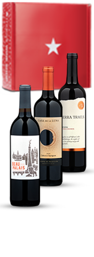 The Winter Wonderland Wine Gift Set