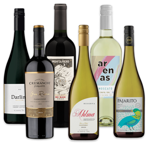 Chilean Wine Explorer