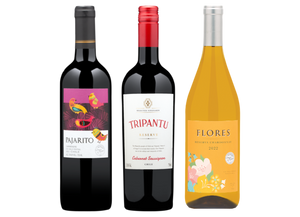 Champions of Chilean Wine | 3-Pack