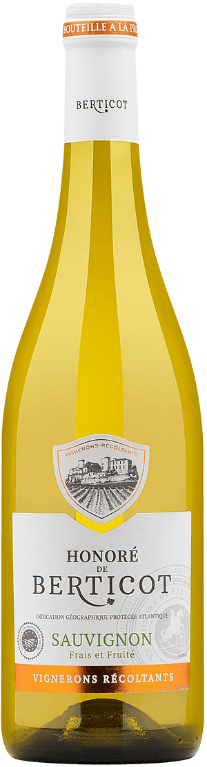 2019 Honoré de Berticot Sauvignon Blanc