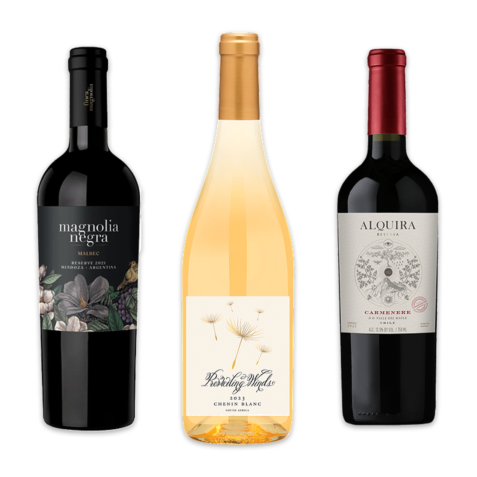 Below the Equator Collection Trio