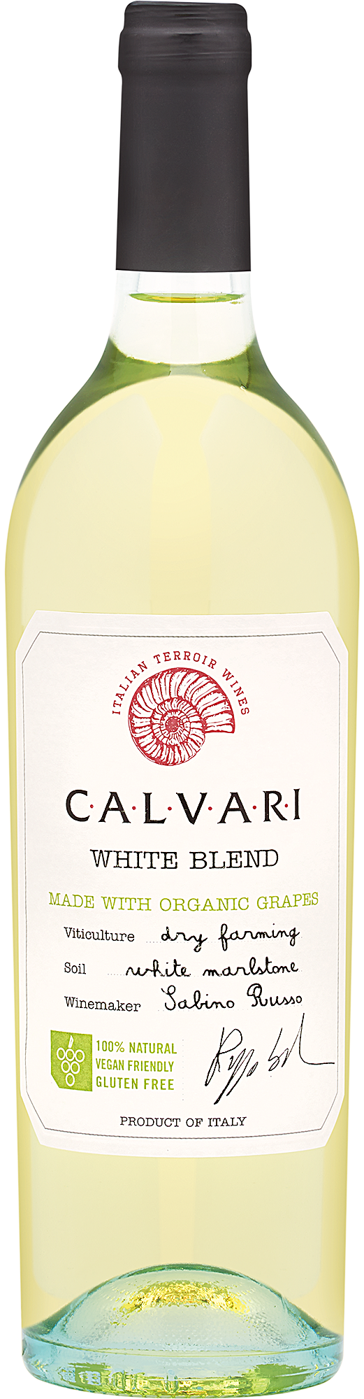 Explore the Wines of the Castellani Family