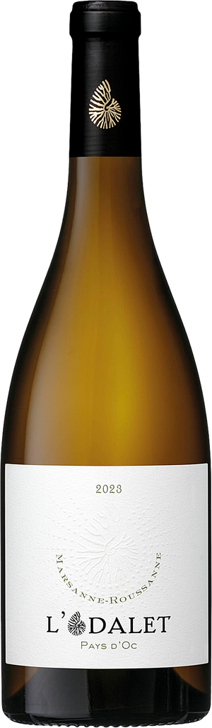2023 L